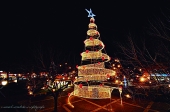 Cidade Natal abre dia 4