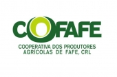 Tribunal trava eleições na Cofafe