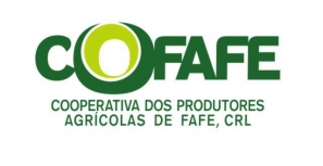 Tribunal trava eleições na Cofafe