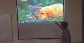 A Adopção de animais pela net já é possível em Fafe