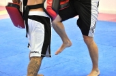 ADF cria secção de Desportos de Combate