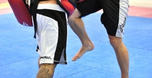 ADF cria secção de Desportos de Combate