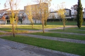 Parque da Cidade mais verde