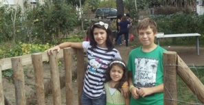 Moradores na Urb. Mário Valente partilham horta