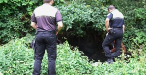 Nova descarga poluente no Rio Vizela