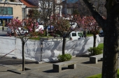 Achados arqueológicos na Praça 25 de Abril