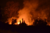 Incêndios florestais fora de época
