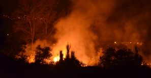 Incêndios florestais fora de época