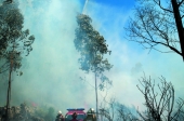 Incêndio na freguesia de Monte mobilizou protecção civil
