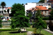 Fafe é um dos concelhos do país com salários mais baixos