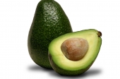 Cantinho das Aromáticas:Abacate (Persea americana)