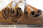 Falsa Canela Vs Verdadeira Canela