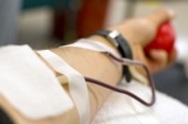 Domingo há colheita de Sangue em Fafe