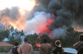 Preventiva para incendiária apanhada em flagrante
