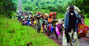 Fafe disponibiliza-se para receber refugiados
